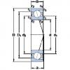 ตลับลูกปืน 71900 ACD/HCP4A SKF #1 small image