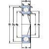 ตลับลูกปืน S7004 ACD/P4A SKF #1 small image