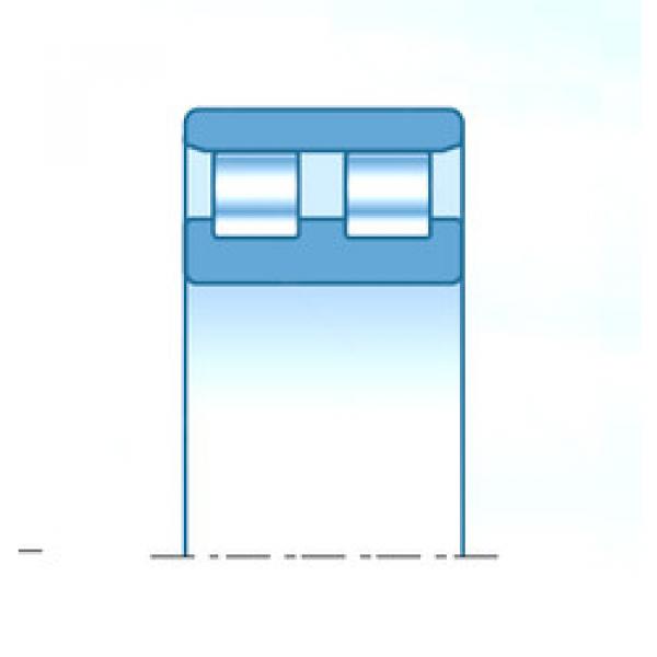 ตลับลูกปืน NN3092KW-1D1C1NAP5 NTN #1 image